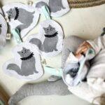 CSIPKE CICUS ZÖRGŐ RONGYI